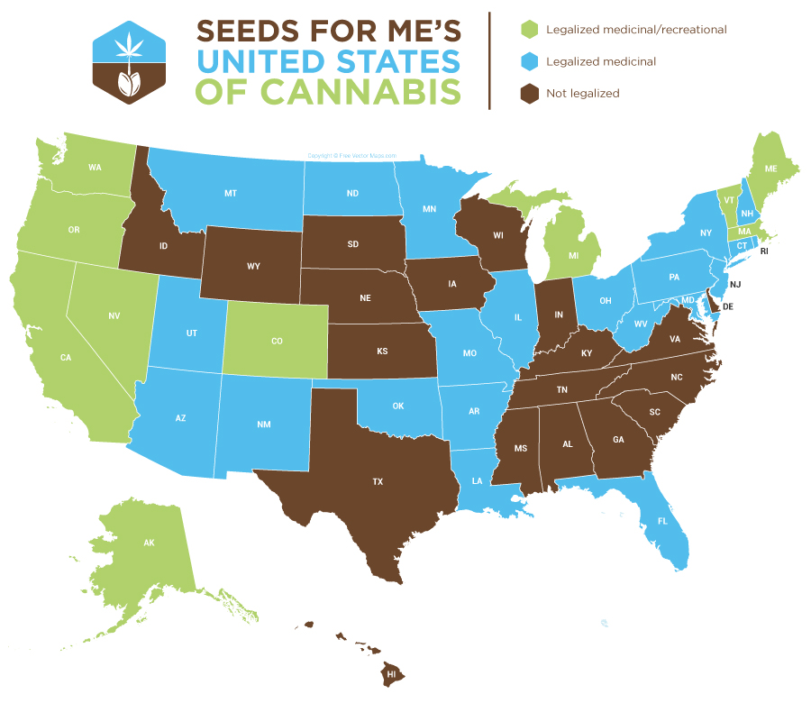 United States of Cannabis Map | Washington cannabis seeds map | Marijuana seeds in Washington state