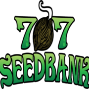 free gift seeds from 707