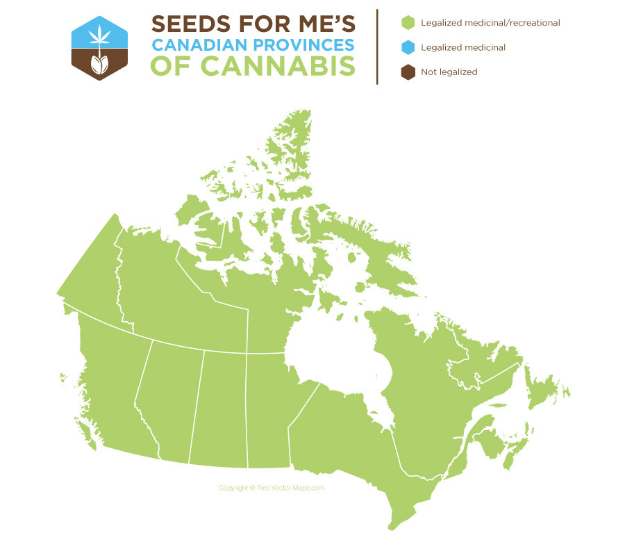 Cannabis seeds in Canada Provinces