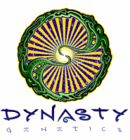 Dynasty Genetics cannabis seeds brand logo design