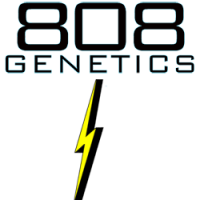 808 Genetics
