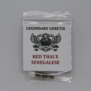 Red Thai x Senegalese rare cannabis seeds