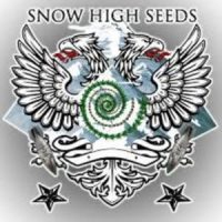 snow high logo