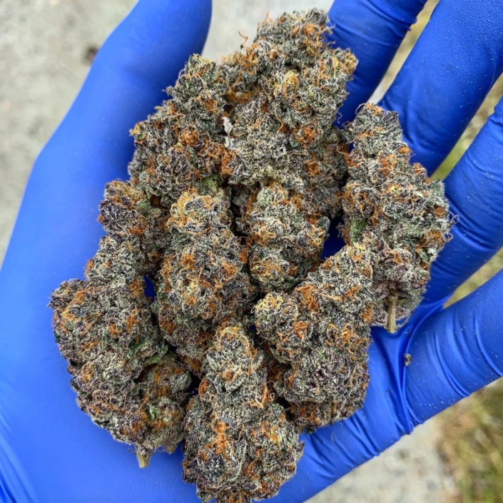 captain crunch weed strain