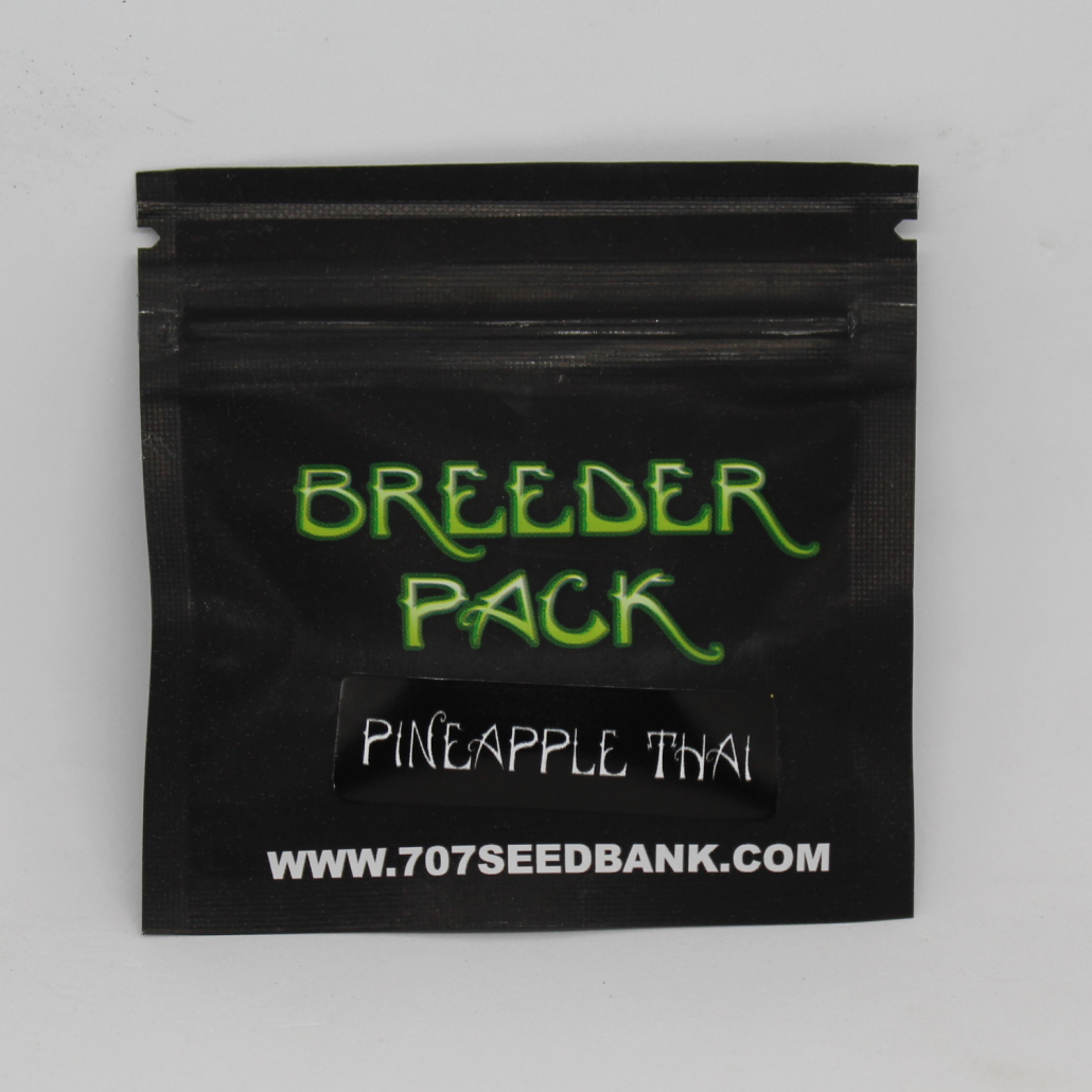 Pineapple Thai  707 Seedbank – Seeds For Me Seed Bank