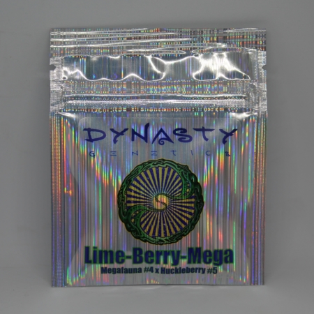 Lime Berry Mega seeds Dynasty Genetics