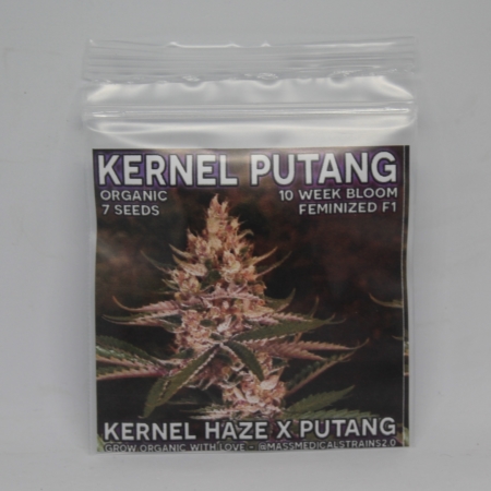 kernel putang cannabis seeds mass medical strains