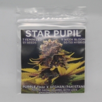 star pupil cannabis seed pack mass medical strains