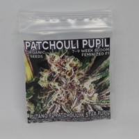 patchouli pupil cannabis seeds mass medical strains exclusively at seeds for me seed bank