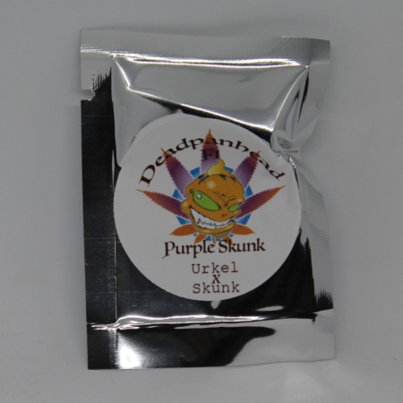 purple skunk cannabis seeds