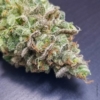 deadpanhead dr skunk marijuana seeds