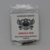 Angola Red cannabis seeds pure landrace snow high legendary