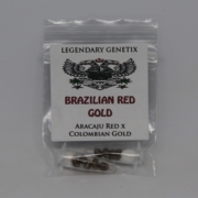Brazil Red gold marijuana seeds legendary snow high seeds