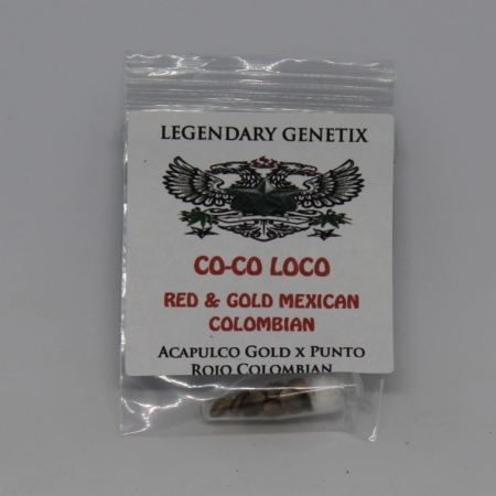 coco loco marijuana seeds snow high brand