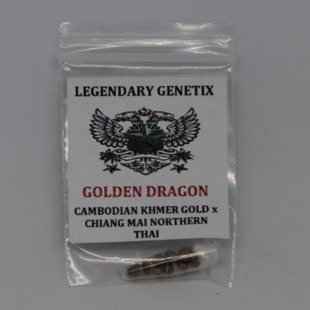 Golden Dragon cannabis seeds bred by snow high genetix
