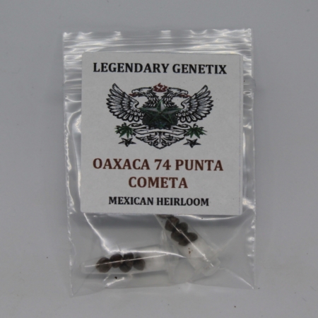 oaxaca 74' punta cometa landrace cannabis seeds