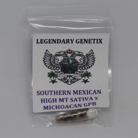 southern mexican high mt sativa seeds