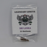 Sri Lanka rare cannabis seeds S1 feminized