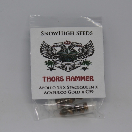 Thors Hammer marijuana seeds