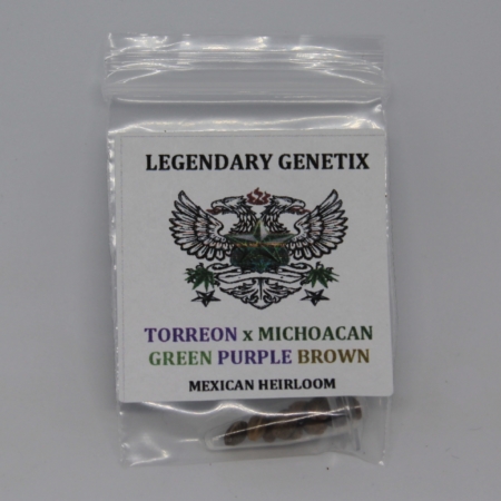 Torreon x Michocan mexican sativa landrace heirloom mota seeds