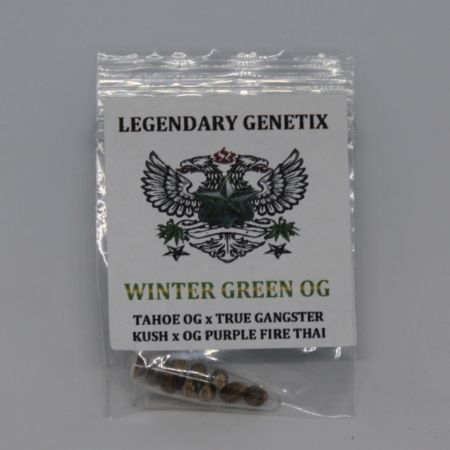 Wintergreen OG oldschool marijuana seeds