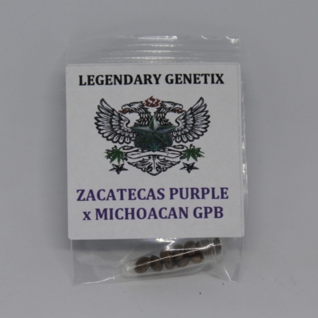 Zacatecas purple x Michoacan marijuana seeds