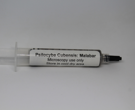 Psilocybe Malabar Coast spore multi-spore syringe