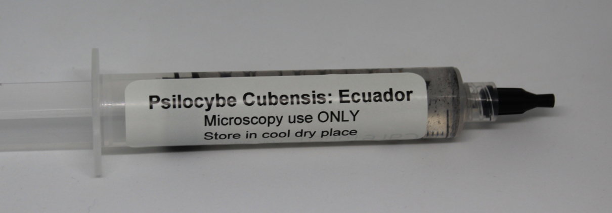 psilocybe cubensis Ecuador spore multi-spore syringe