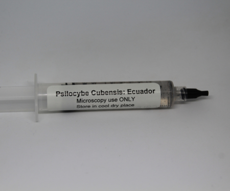 psilocybe cubensis Ecuador spore multi-spore syringe