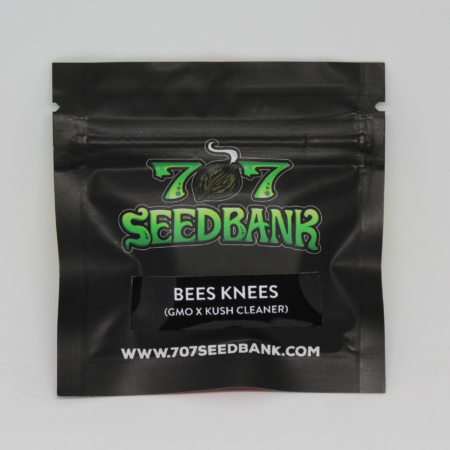 Bees Knees cannabis seed pack