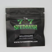 millionaire cannabis seeds