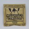 mango smile seed pack from mephisto genetics