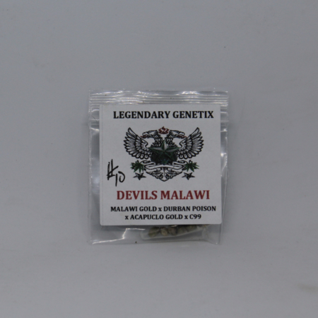 Devisl Malawi Legendary Genetix seeds