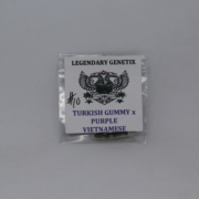 Turkish Gummy x Purple Vietnamese marijuana seeds