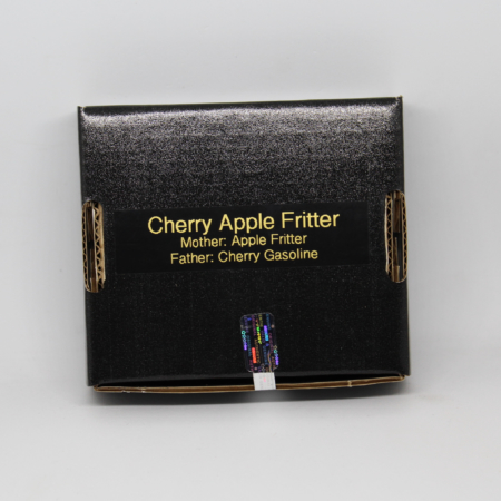 Cherry Apple Fritter cannabis seeds by 808 Genetics