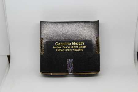 Gasoline Breath mmj seeds