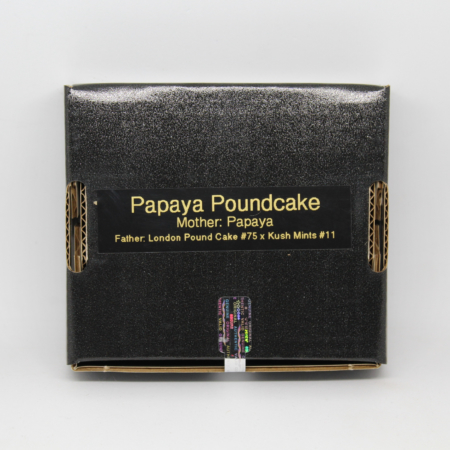 Papaya Poundcake seeds by 808