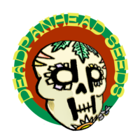DeadpanHead
