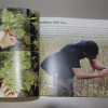 Inidian cannabis seed packs plus free book
