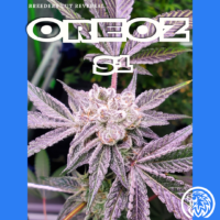 Oreoz S1 seeds