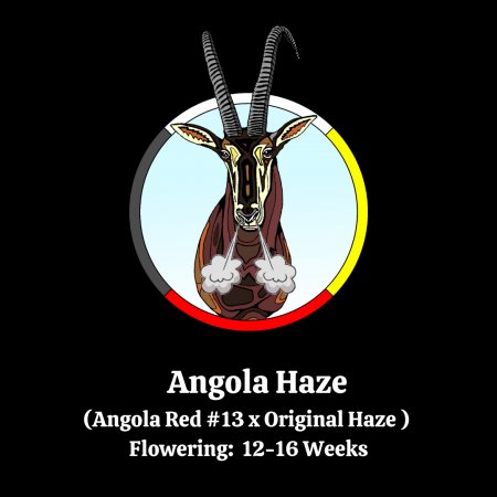 Angola Haze art