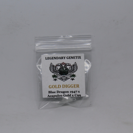 Gold Digger cannabi Snow Highs seeds