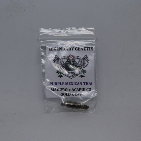 Purple Mexican Thai Marijuana seeds