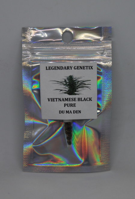 Vietnamese Black Pure Du Ma Den marijuana seeds