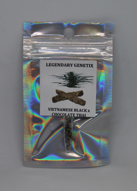 Vietnamese Black x Chocolate Thai marijuana seeds