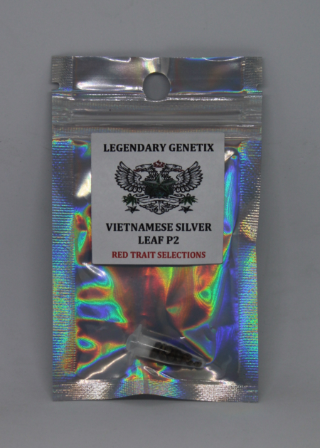 Vietnamese Silver Leaf F2 cannabis seeds