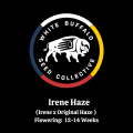 Irene Haze Logo