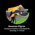Mountain Pilgrim mmj seeds