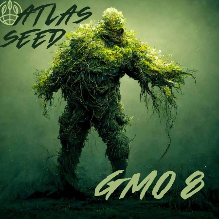 GMO 8 artwork