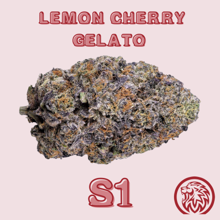 Lemon Cherry Gelato cannabis seeds